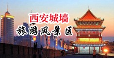 女人一线天白虎馒头逼中国陕西-西安城墙旅游风景区